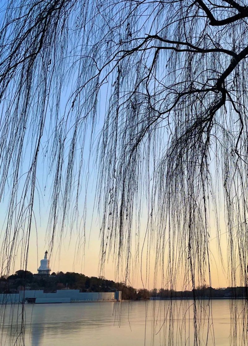 微信图片_20220204135621.jpg