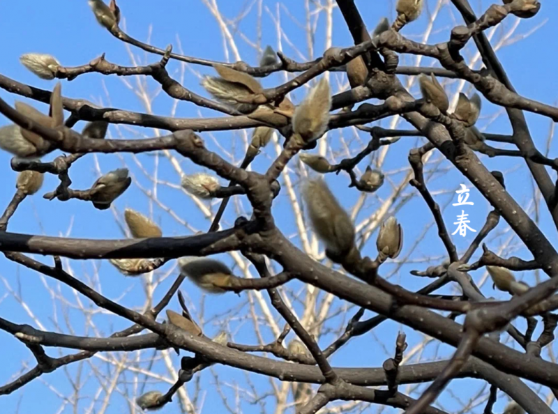 微信图片_20220204135835.png