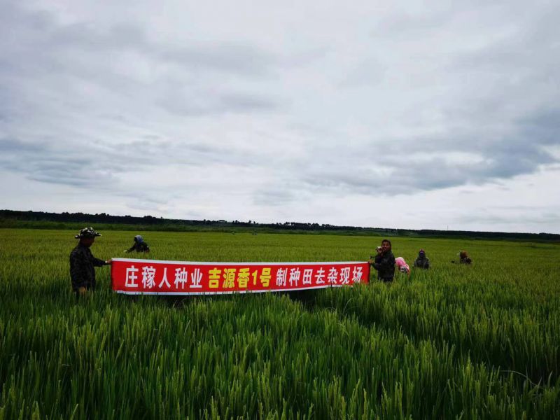 图片1.jpg 图片1.jpg