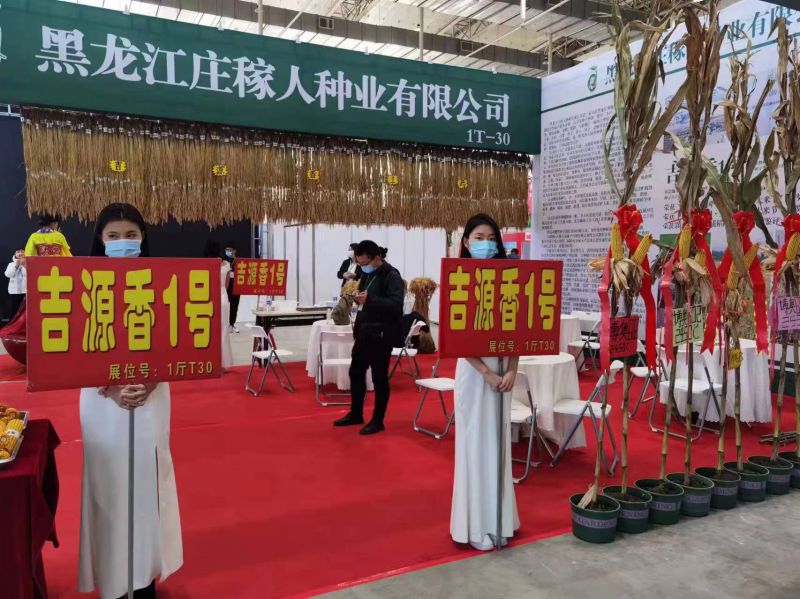 图片5.jpg 图片5.jpg