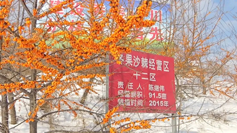 图片2.png 图片2.png