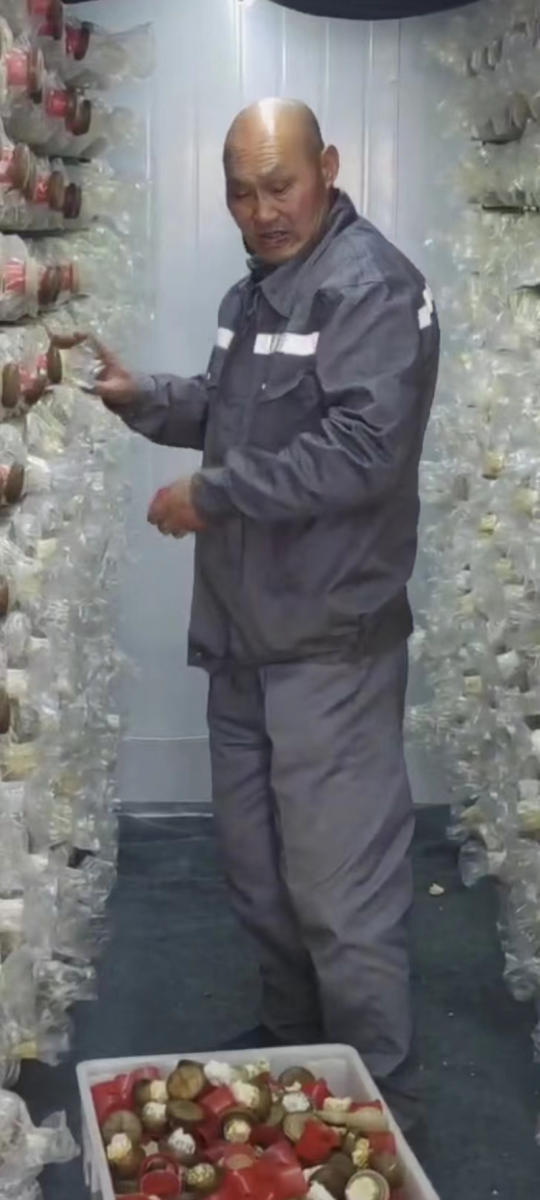 888888888888888.png 888888888888888.png