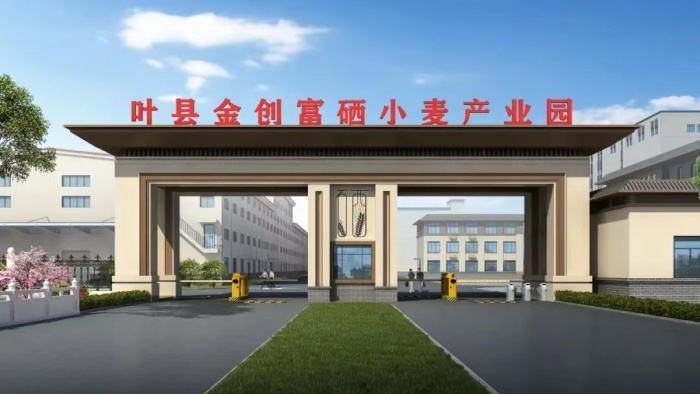 图片37.png