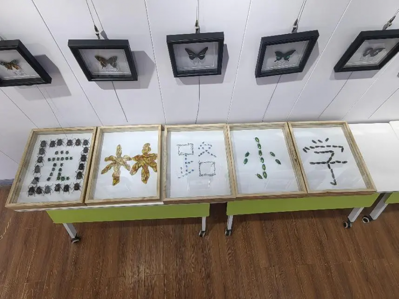 a7a5cfadf368d838650e0ce3f3f0ec3.png