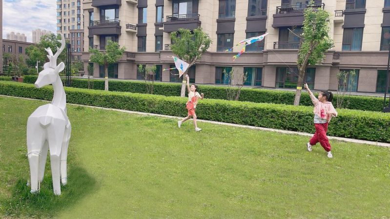图片9.jpg 图片9.jpg