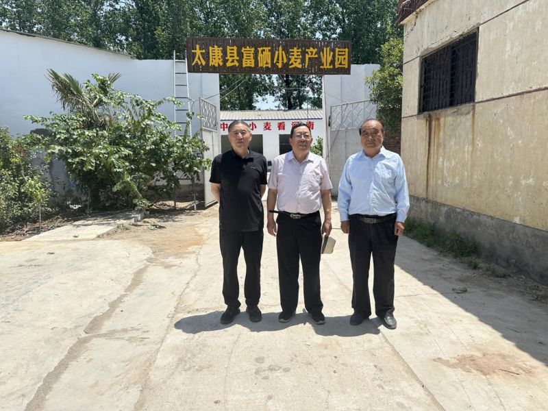 图片8.jpg 图片8.jpg