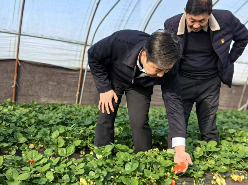 图片5.png 图片5.png